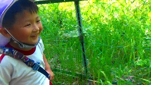 20160520235346(2)