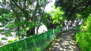 20160520235422(1)