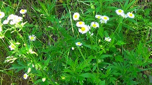 20160521000239(1)