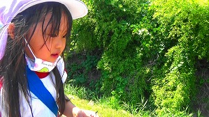 20160521000521(1)