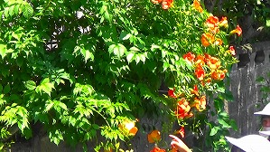 20160521001810(1)