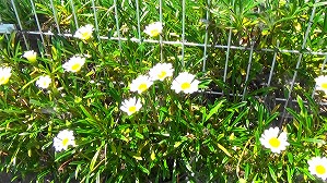 20160521003053(1)