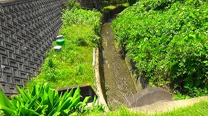 20160521003604(1)