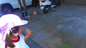 20160521003700(2)
