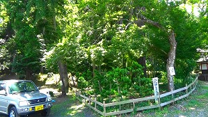 20160521010017(1)