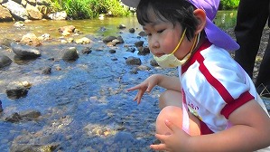 20160521012718(1)