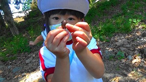20160521012852(3)