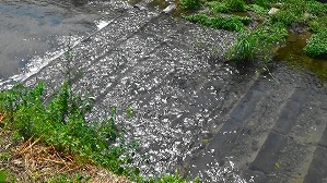 20160526231844(1)