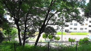 20160526233526(1)