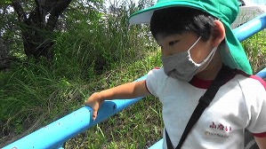 20160526234418(1)