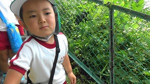 20160526235352(2)