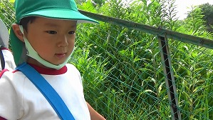 20160526235401(4)