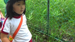 20160526235452(1)