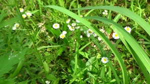20160526235743(1)