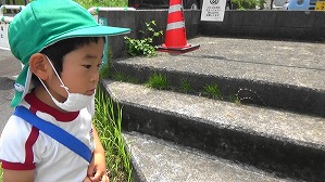 20160527000157(1)
