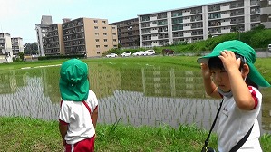 20160527001639(2)