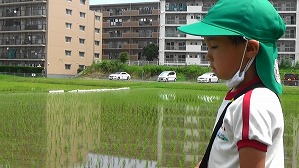 20160527001715(1)