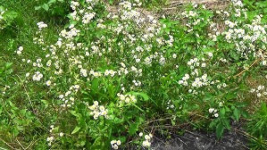 20160527002058(1)