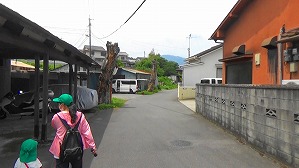 20160527004545(2)