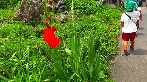 20160527004707(1)