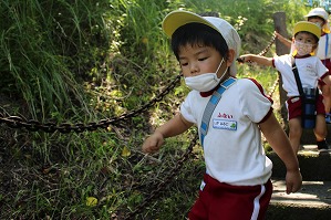 IMG_9682 (2)