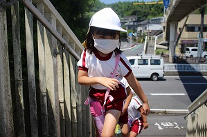 IMG_9712 (2)
