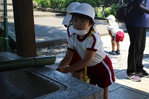 IMG_9729 (2)