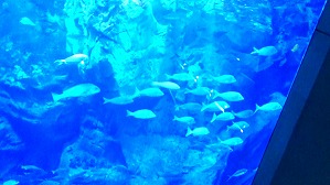 20160706102244(2)