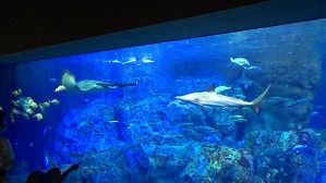 20160706102614(1)