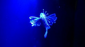 20160706103636(1)