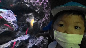 20160706103737(1)