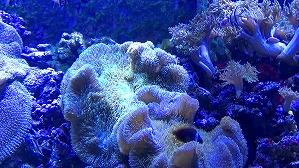 20160706104156(1)
