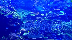 20160706104748(1)