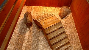 20160706105414(1)