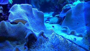 20160706105724(1)