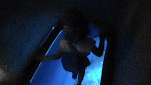 20160706110941(3)