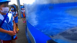 20160706111114(1)