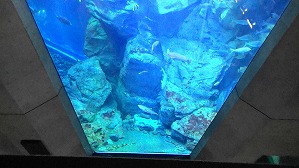 20200709112534(1)