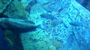 20200709113049(1)