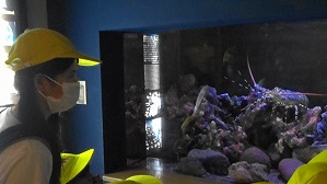 20200709113513(1)