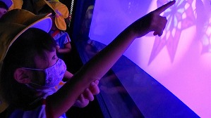 20200709114106(2)