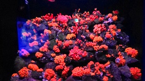 20200709114124(2)