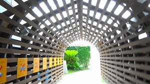 20200709114556(1)