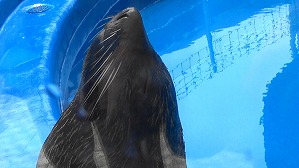 20200709115159(1)