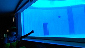 20200709120230(2)