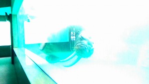 20200709120411(1)