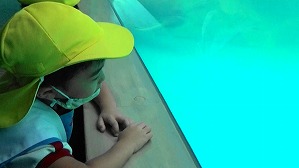 20200709120420(1)
