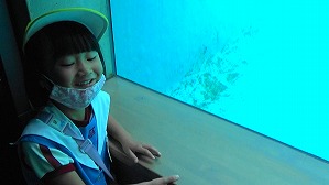 20200709120431(1)
