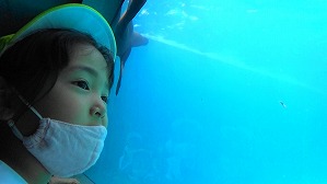 20200709120501(3)
