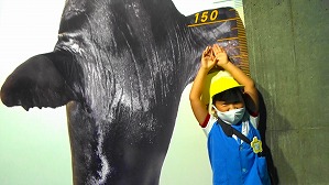 20200709120700(1)